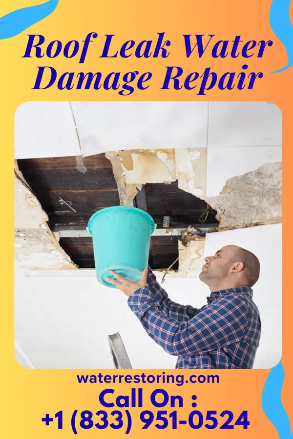 Roof Leak Water Damage Repair in Palmyra, UT